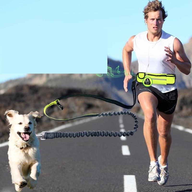 Jogging leash best sale