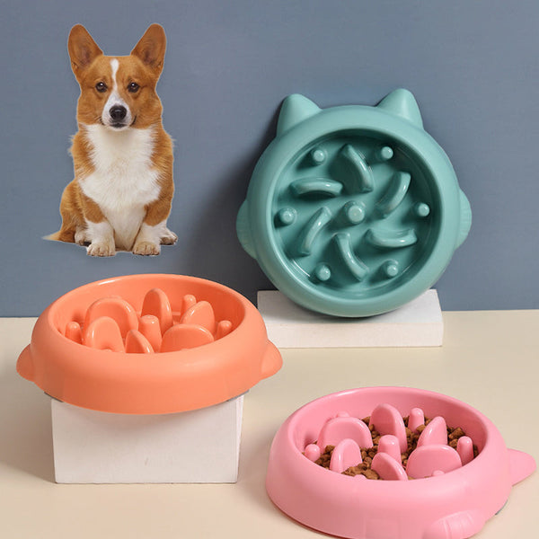 Pet Slow Feeder Bowl